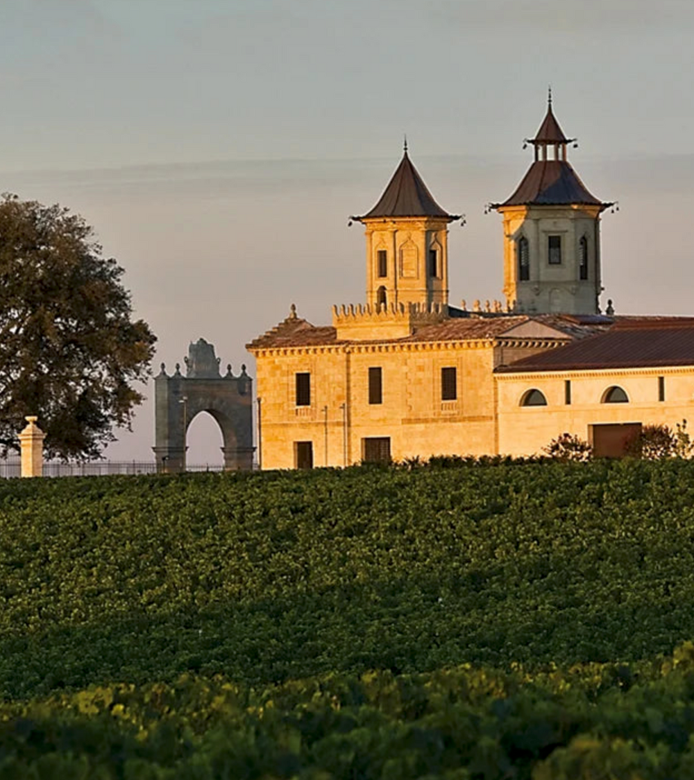 Del viñedo a la copa: claves del terroir bordelés